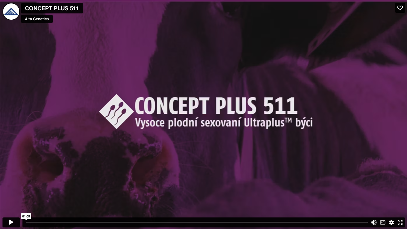 ZHURTA_CONCEPT-PLUS-511